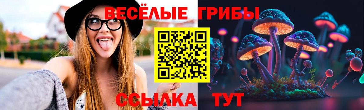 Псилоцибиновые грибы Psilocybe Партизанск